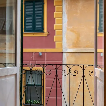 Starfish Santa Margherita Ligure