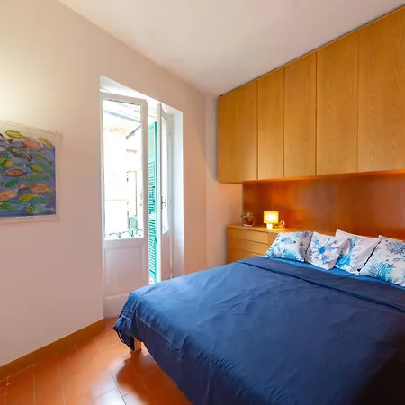 Starfish Apartment