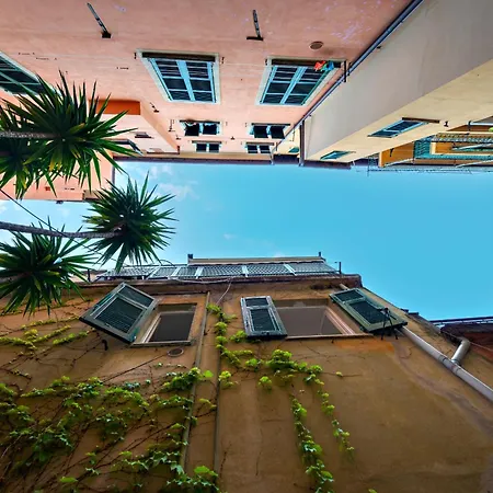 Starfish * 산타마르게리타리구레