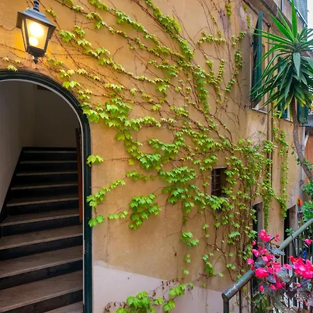 Starfish アパート