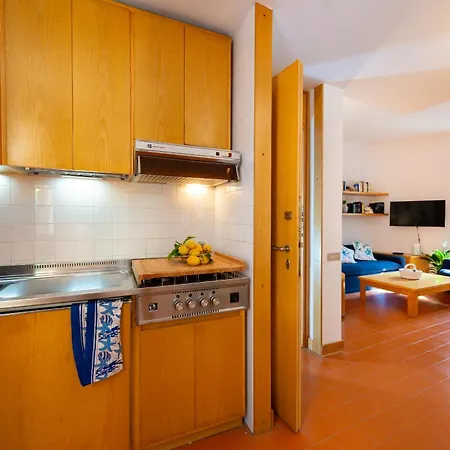 Starfish サンタ・マルゲリータ・リグレ