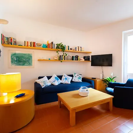 Starfish サンタ・マルゲリータ・リグレ